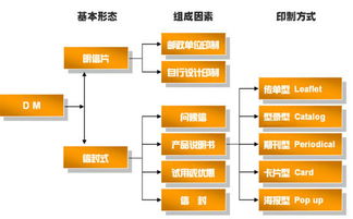 中研普華市場營銷策劃服務流程 從策略到執行的完整方案